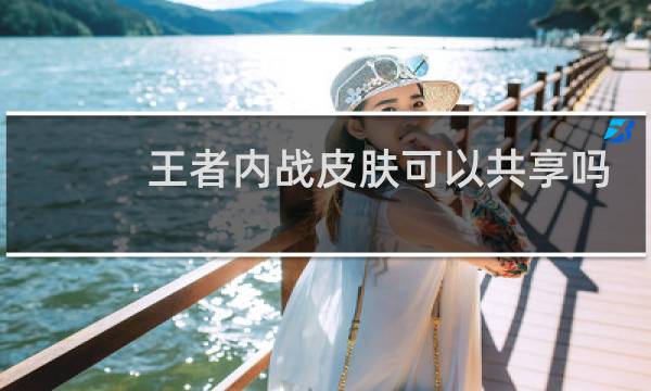 王者内战皮肤可以共享吗图片