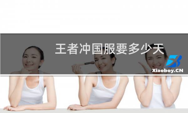 王者冲国服要多少天图片