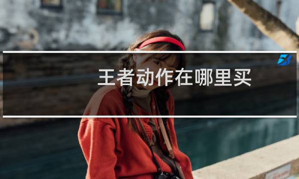 王者动作在哪里买图片