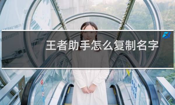 王者助手怎么复制名字图片