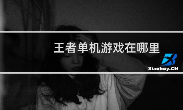 王者单机游戏在哪里图片
