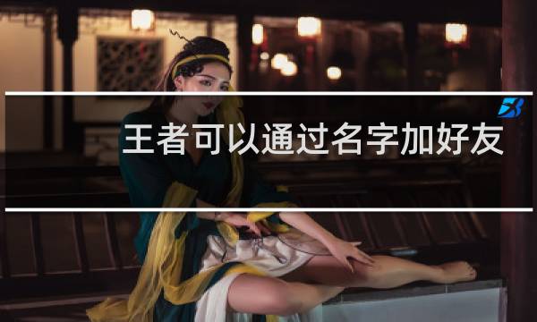 王者可以通过名字加好友吗图片