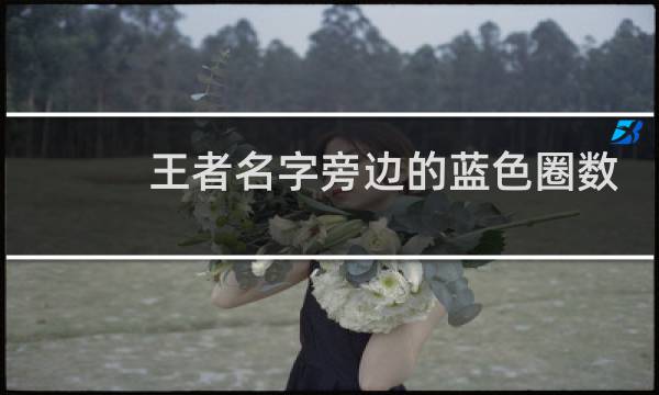 王者名字旁边的蓝色圈数字是什么图片