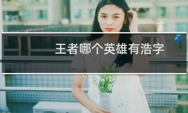 王者哪个英雄有浩字图片