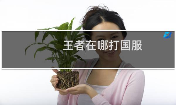 王者在哪打国服图片