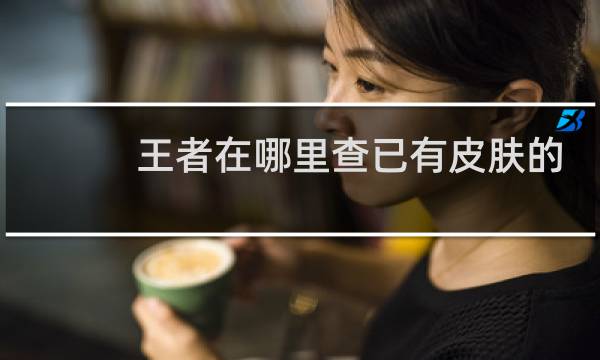 王者在哪里查已有皮肤的图片