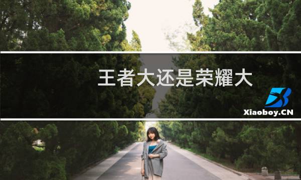 王者大还是荣耀大图片