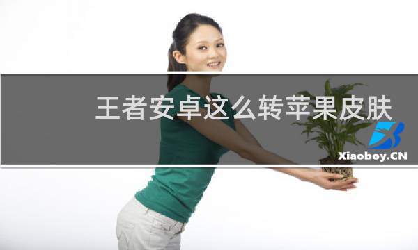 王者安卓这么转苹果皮肤图片