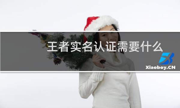 王者实名认证需要什么图片