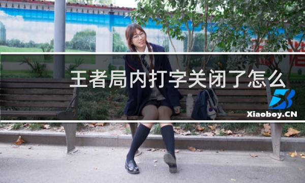 王者局内打字关闭了怎么开图片