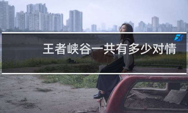 王者峡谷一共有多少对情侣图片