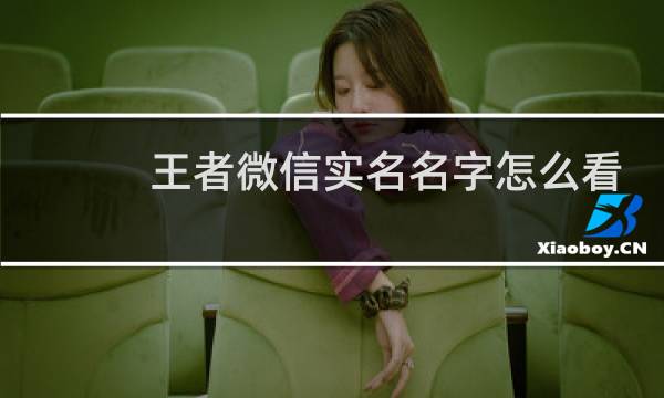 王者微信实名名字怎么看图片