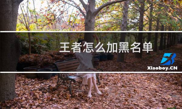 王者怎么加黑名单图片