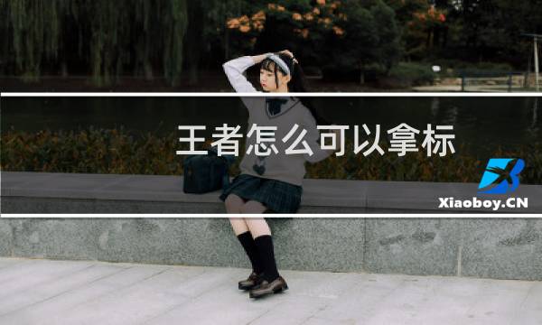 王者怎么可以拿标图片