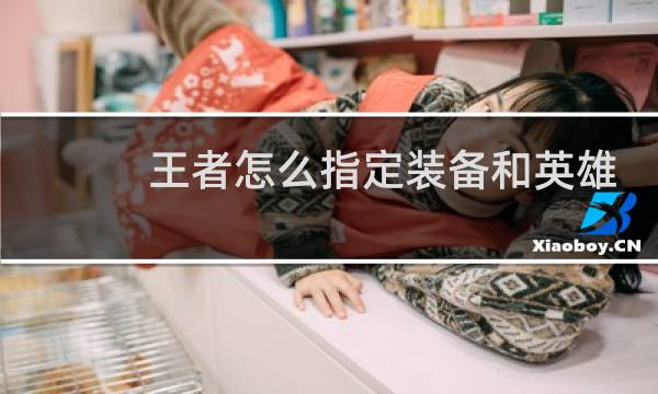 王者怎么指定装备和英雄图片