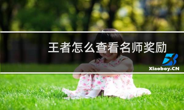 王者怎么查看名师奖励图片