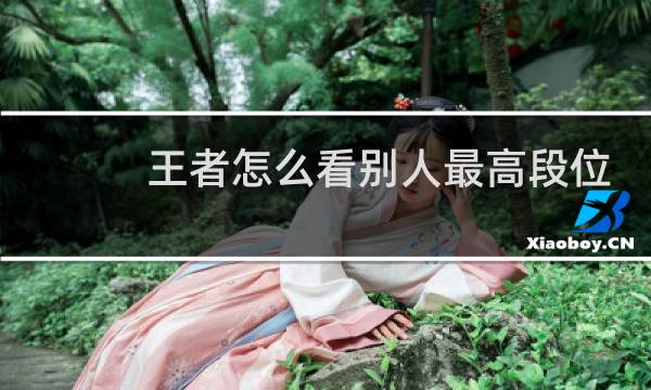 王者怎么看别人最高段位图片