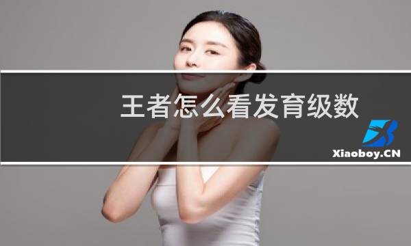 王者怎么看发育级数图片