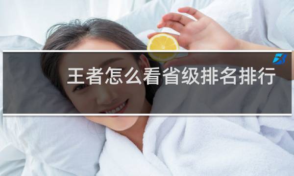 王者怎么看省级排名排行榜图片