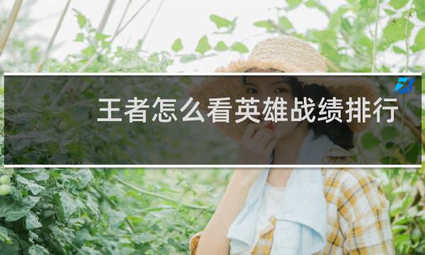 王者怎么看英雄战绩排行图片