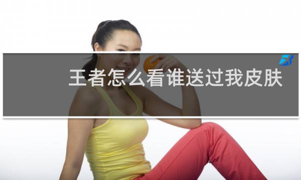 王者怎么看谁送过我皮肤图片