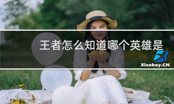 王者怎么知道哪个英雄是本命图片