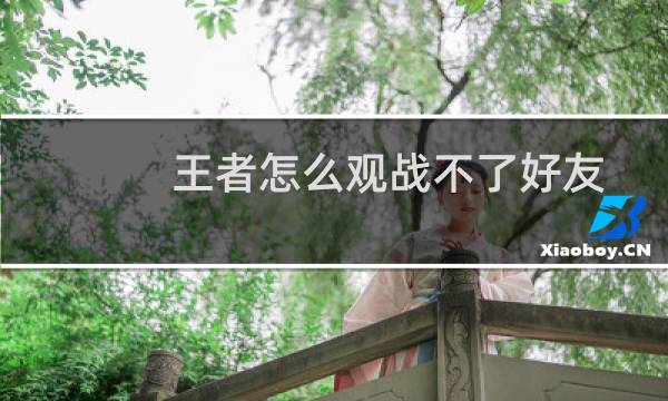 王者怎么观战不了好友图片