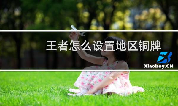 王者怎么设置地区铜牌图片