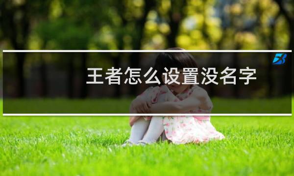 王者怎么设置没名字图片