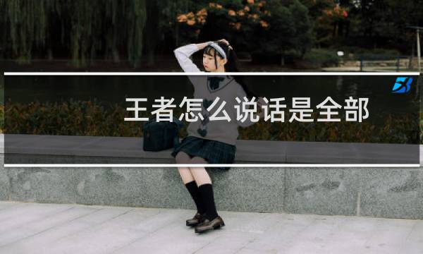王者怎么说话是全部图片