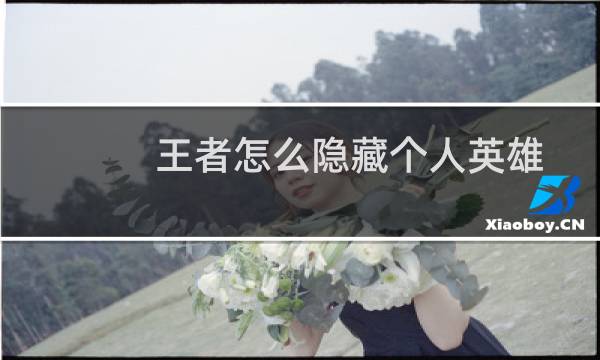 王者怎么隐藏个人英雄图片
