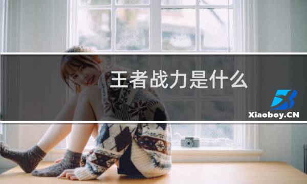 王者战力是什么图片
