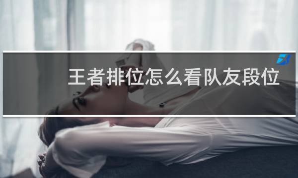 王者排位怎么看队友段位图片