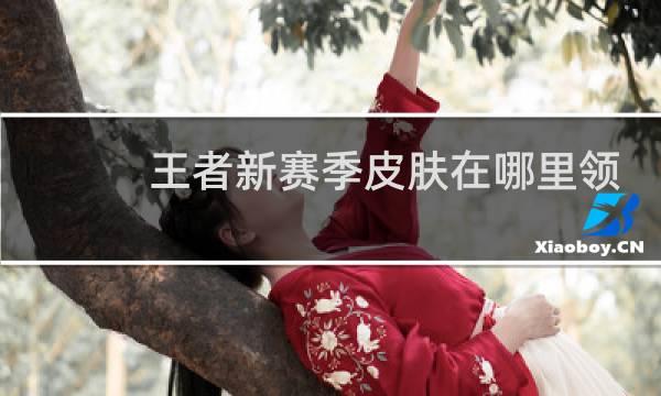 王者新赛季皮肤在哪里领图片