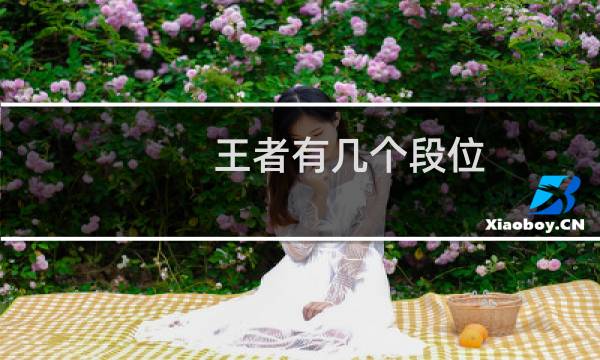 王者有几个段位图片