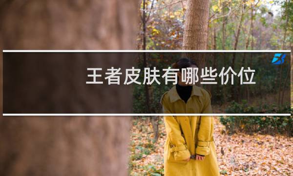 王者皮肤有哪些价位图片