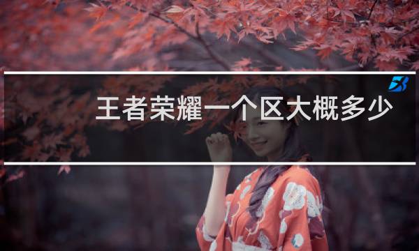 王者荣耀一个区大概多少人图片
