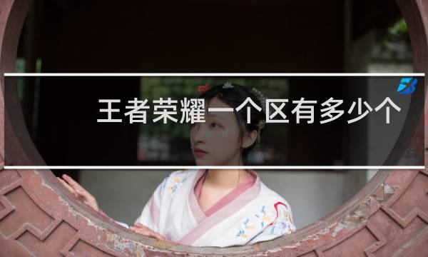 王者荣耀一个区有多少个王者图片