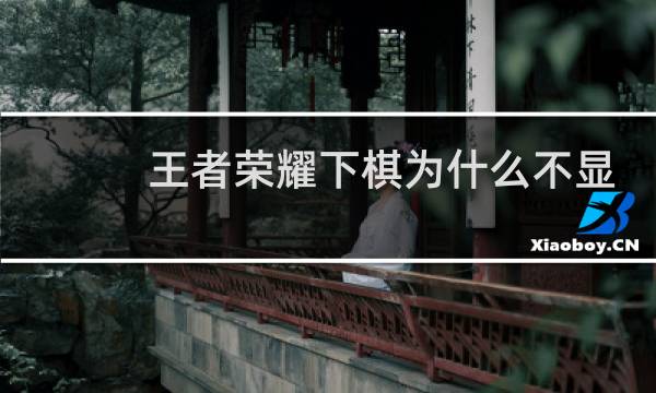 王者荣耀下棋为什么不显示皮肤图片