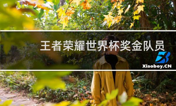 王者荣耀世界杯奖金队员可以拿多少图片