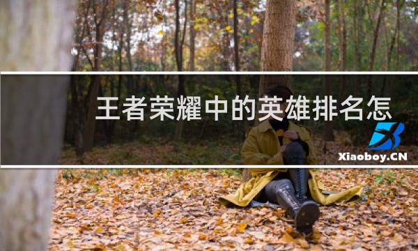 王者荣耀中的英雄排名怎么样才能提升图片