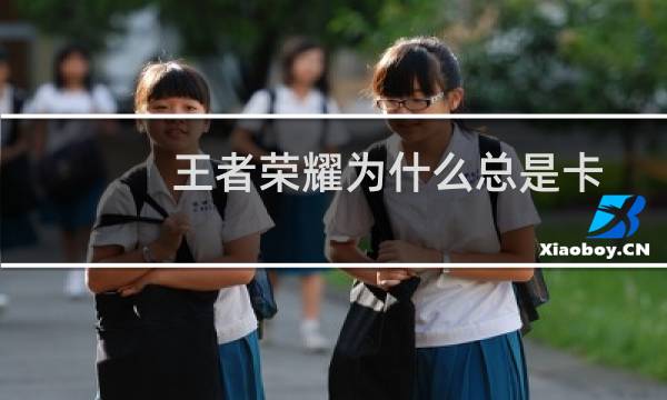 王者荣耀为什么总是卡图片