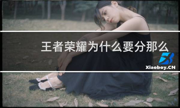 王者荣耀为什么要分那么多区图片