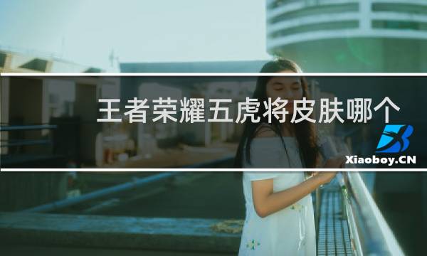王者荣耀五虎将皮肤哪个好图片