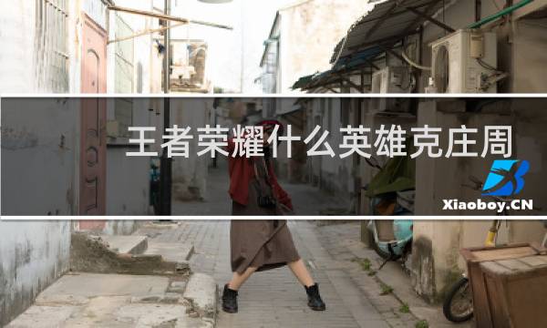 王者荣耀什么英雄克庄周图片