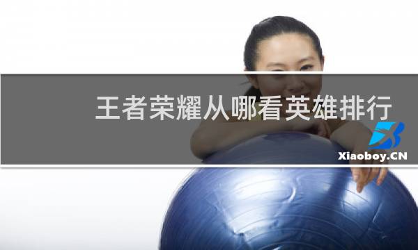 王者荣耀从哪看英雄排行图片