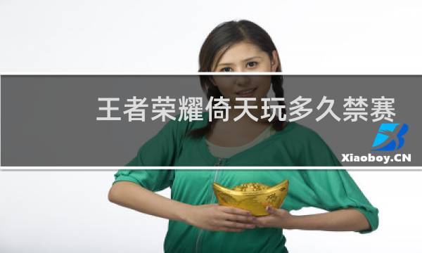 王者荣耀倚天玩多久禁赛图片