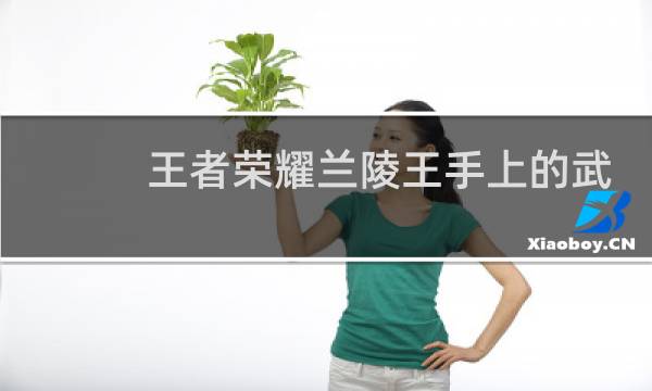 王者荣耀兰陵王手上的武器叫什么图片
