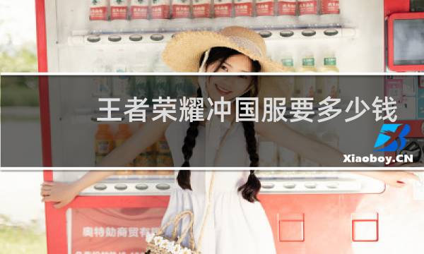 王者荣耀冲国服要多少钱图片