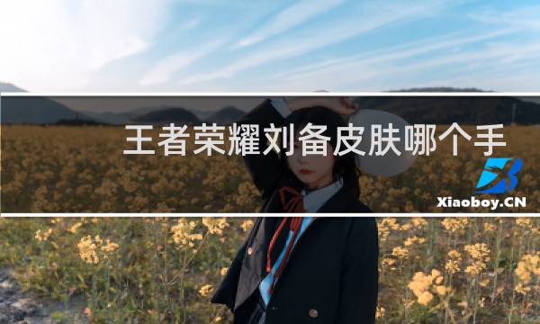 王者荣耀刘备皮肤哪个手感好图片